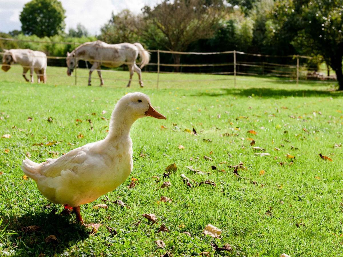 Gite Ferme D'Ervee De Saint-Roch Isigny-sur-Mer Exterior foto