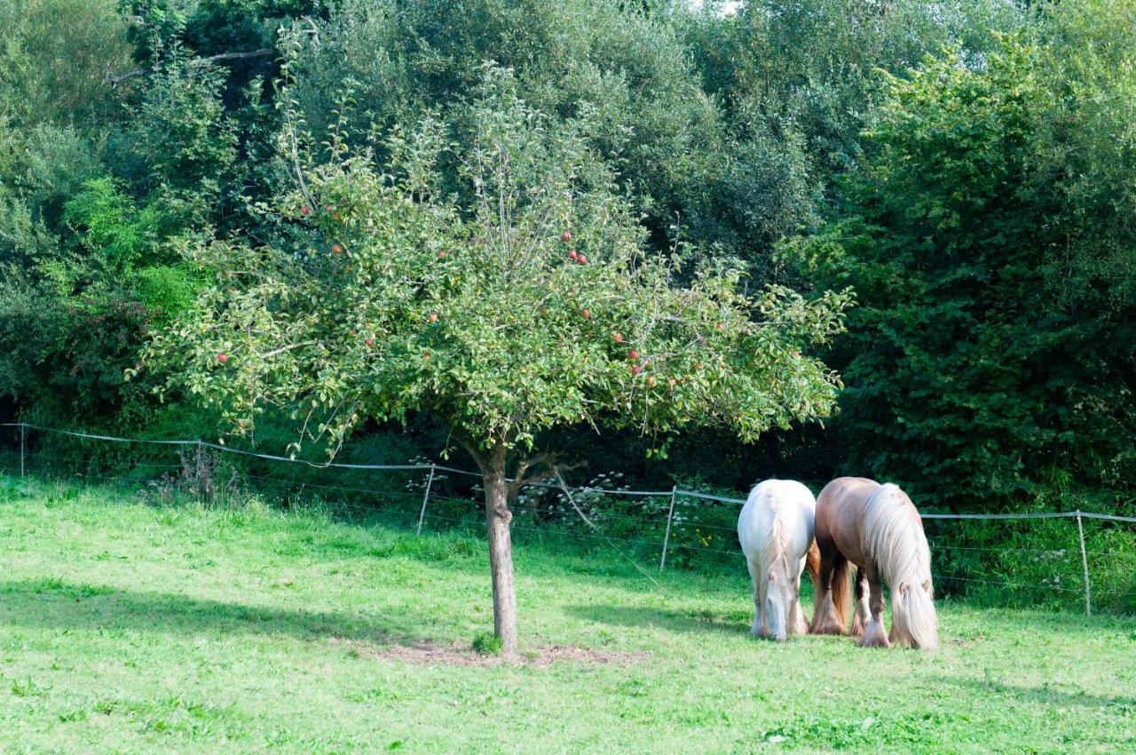 Gite Ferme D'Ervee De Saint-Roch Isigny-sur-Mer Exterior foto